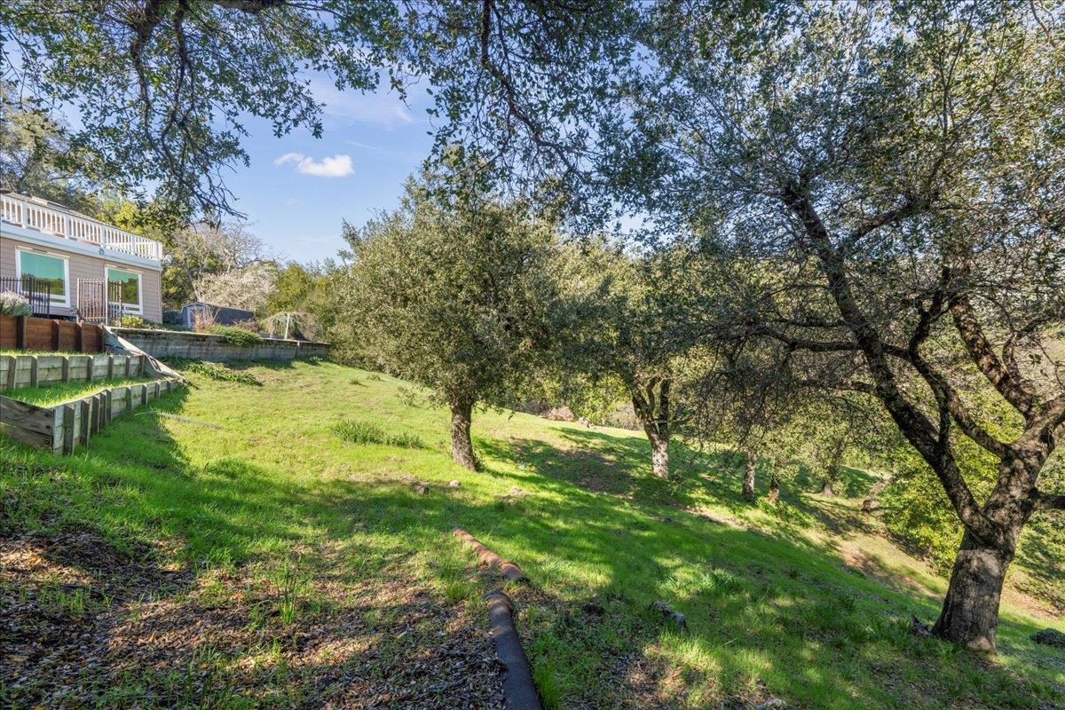 Detail Gallery Image 35 of 40 For 25400 Radonich Rd, Los Gatos,  CA 95033 - 3 Beds | 2/1 Baths