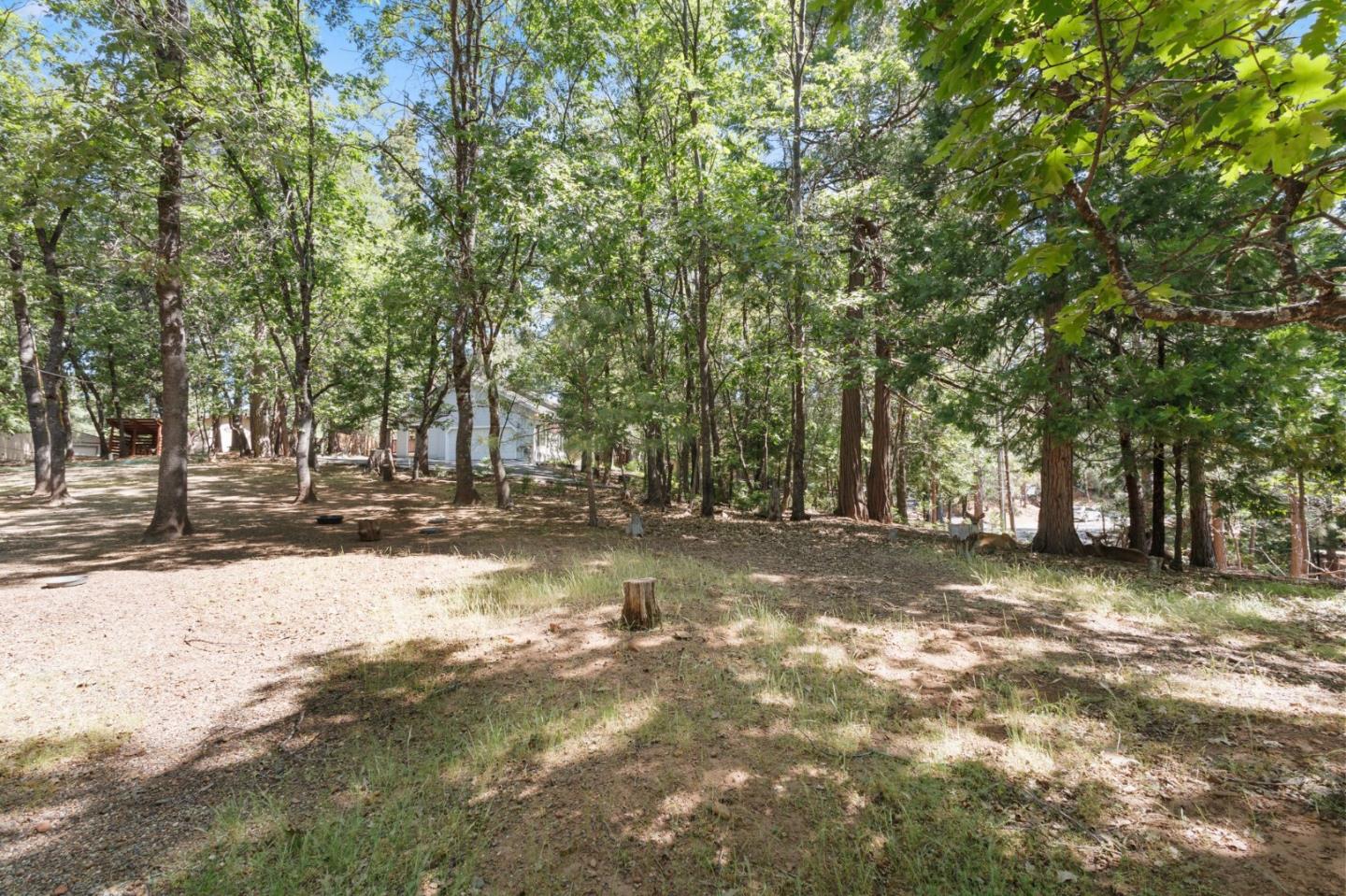 Detail Gallery Image 36 of 51 For 17256 Mount Elizabeth Dr, Sonora,  CA 95370 - 3 Beds | 2 Baths