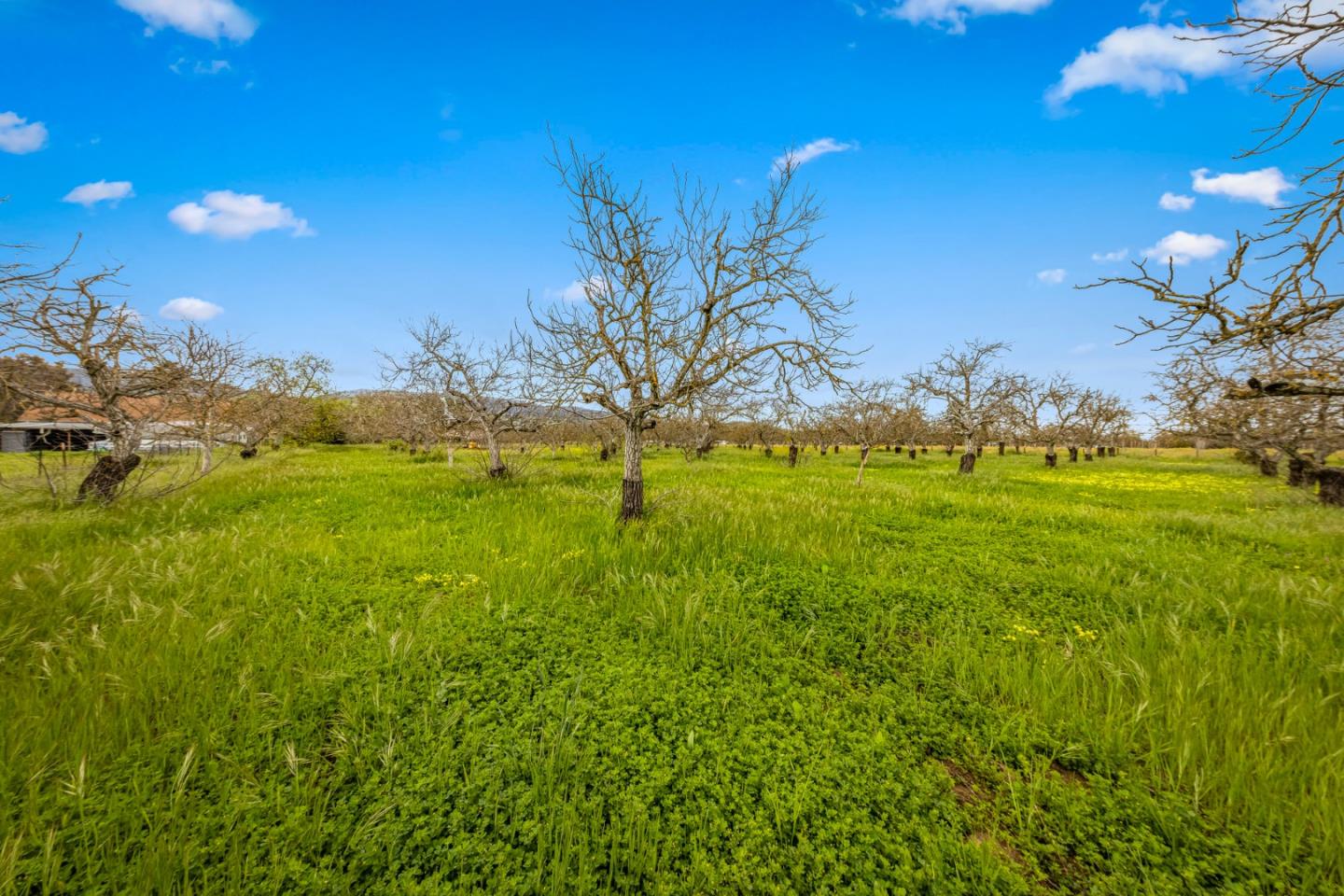 Detail Gallery Image 40 of 61 For 13755 Columbet Ave, San Martin,  CA 95046 - 3 Beds | 2 Baths