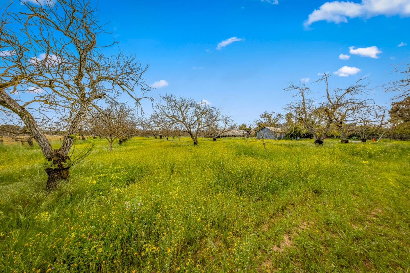 Detail Gallery Image 48 of 61 For 13755 Columbet Ave, San Martin,  CA 95046 - 3 Beds | 2 Baths