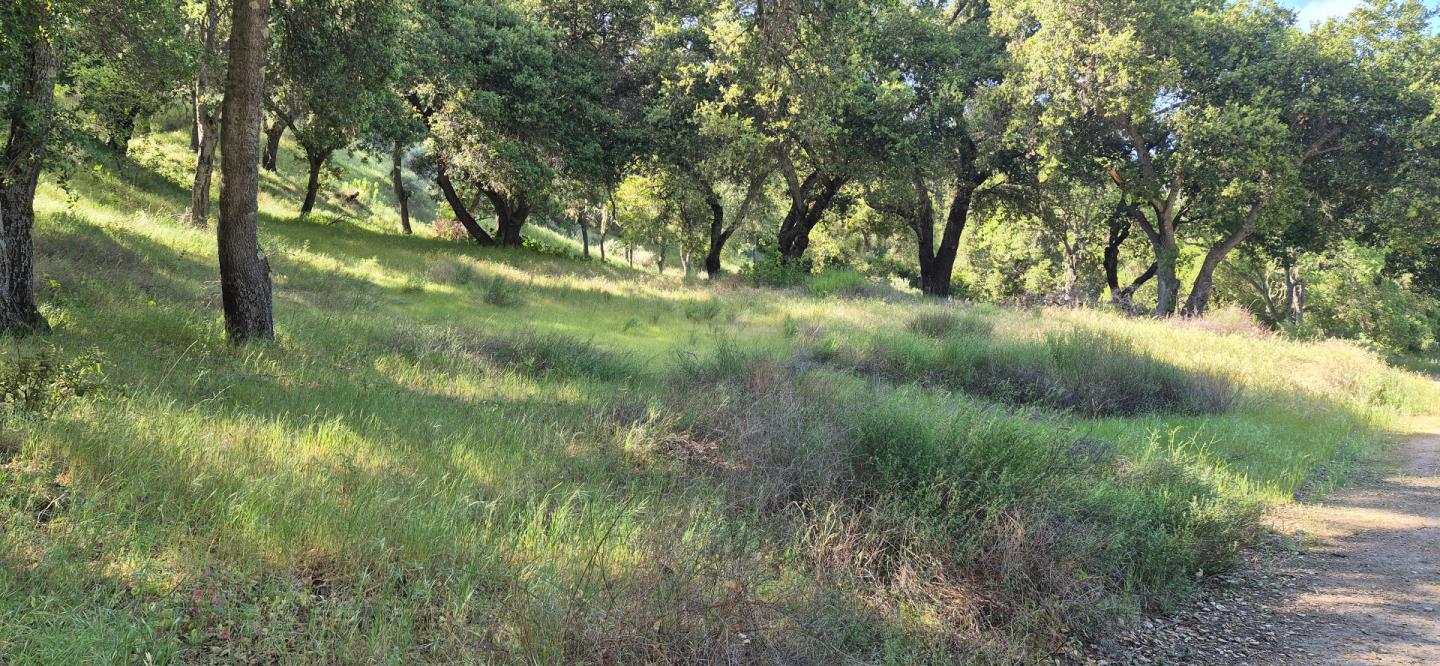 Detail Gallery Image 9 of 11 For 30010 Olivia Dr, Greenfield,  CA 93927 - – Beds | – Baths