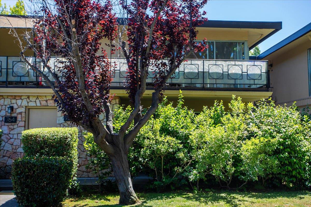 Detail Gallery Image 3 of 37 For 762 University Ave, Palo Alto,  CA 94301 - 2 Beds | 2 Baths