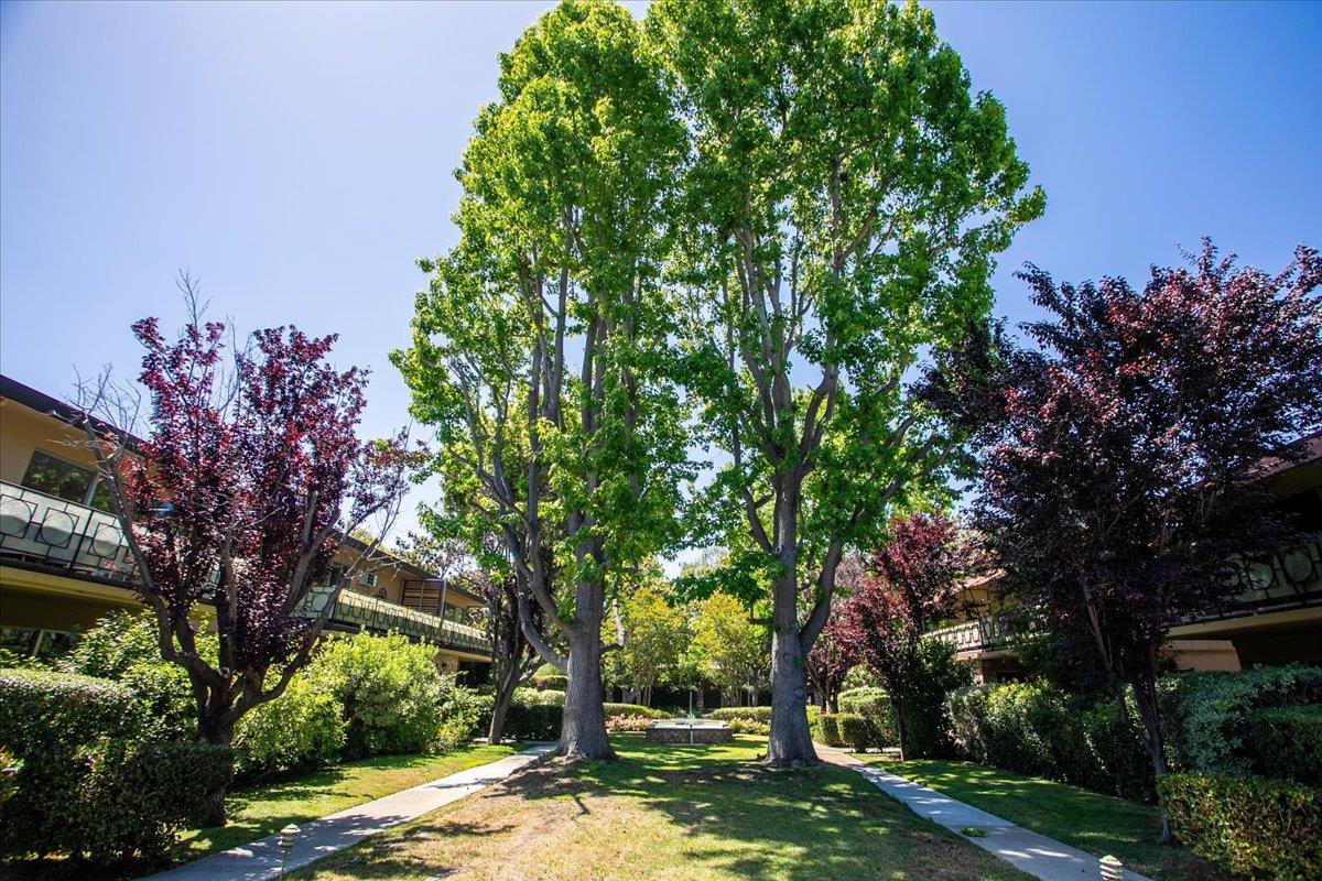 Detail Gallery Image 31 of 37 For 762 University Ave, Palo Alto,  CA 94301 - 2 Beds | 2 Baths