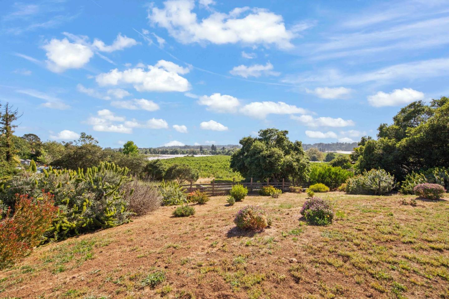 Detail Gallery Image 52 of 52 For 141 Corona Ct, Watsonville,  CA 95076 - 4 Beds | 4 Baths