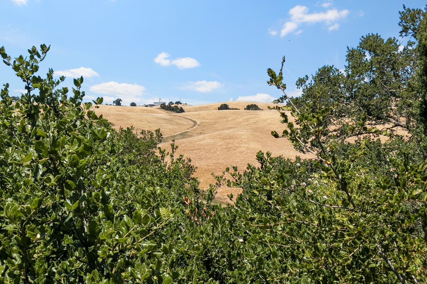 Detail Gallery Image 36 of 40 For 14449 Liddicoat Cir, Los Altos Hills,  CA 94022 - 3 Beds | 2 Baths