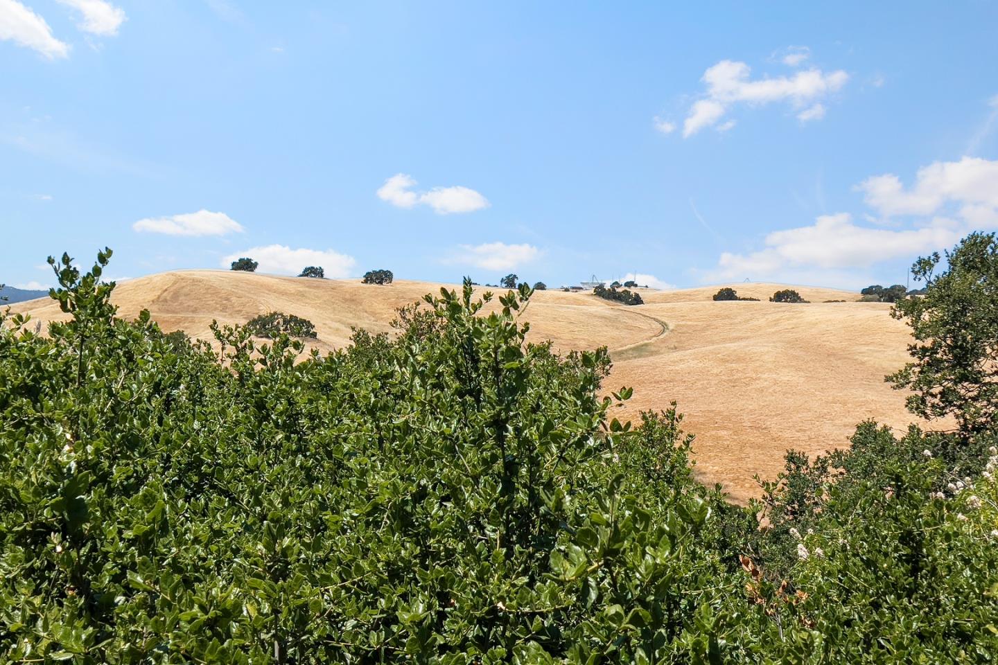 Detail Gallery Image 37 of 40 For 14449 Liddicoat Cir, Los Altos Hills,  CA 94022 - 3 Beds | 2 Baths