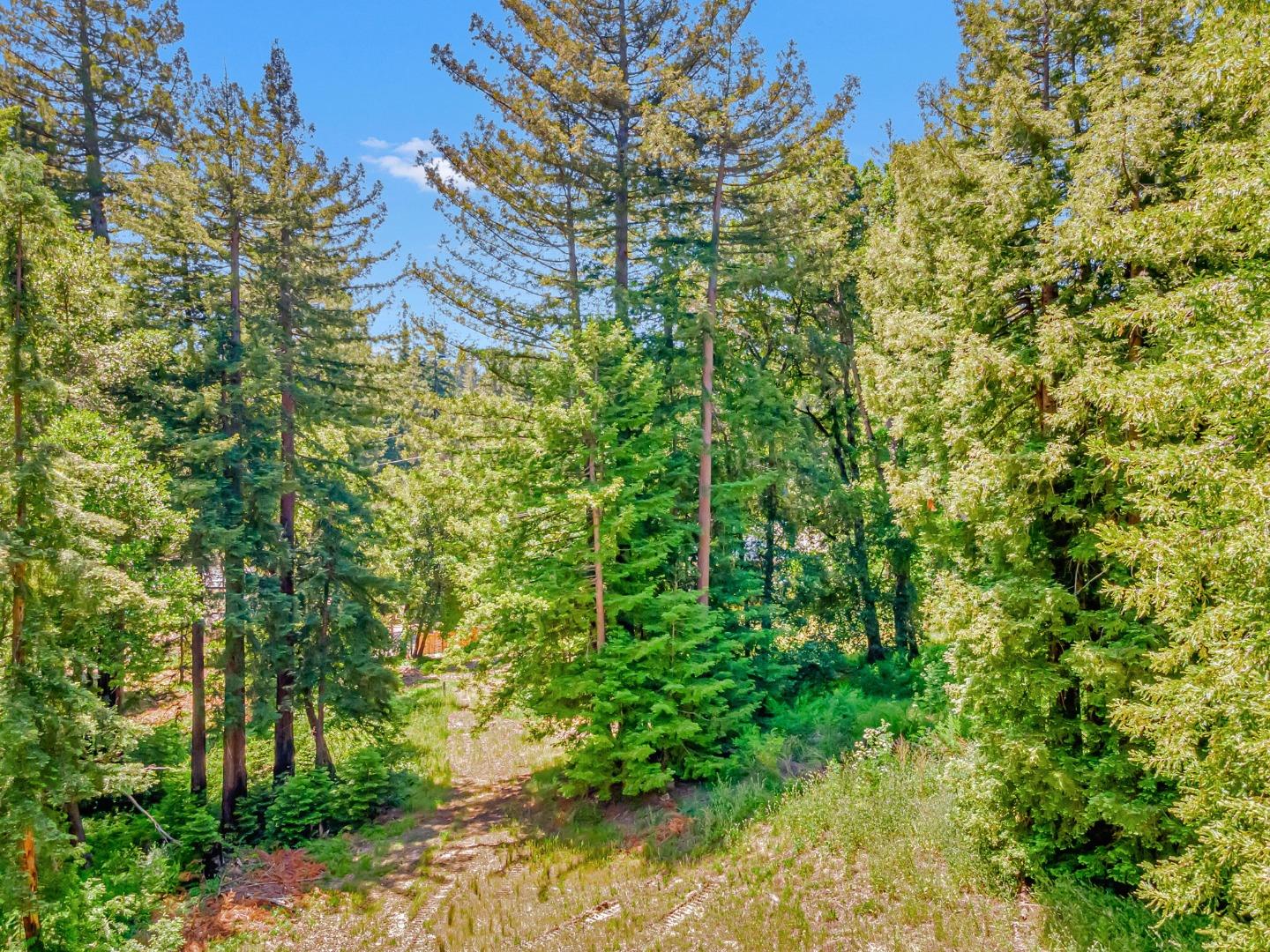 Detail Gallery Image 12 of 34 For 0 Memory, Boulder Creek,  CA 95006 - – Beds | – Baths