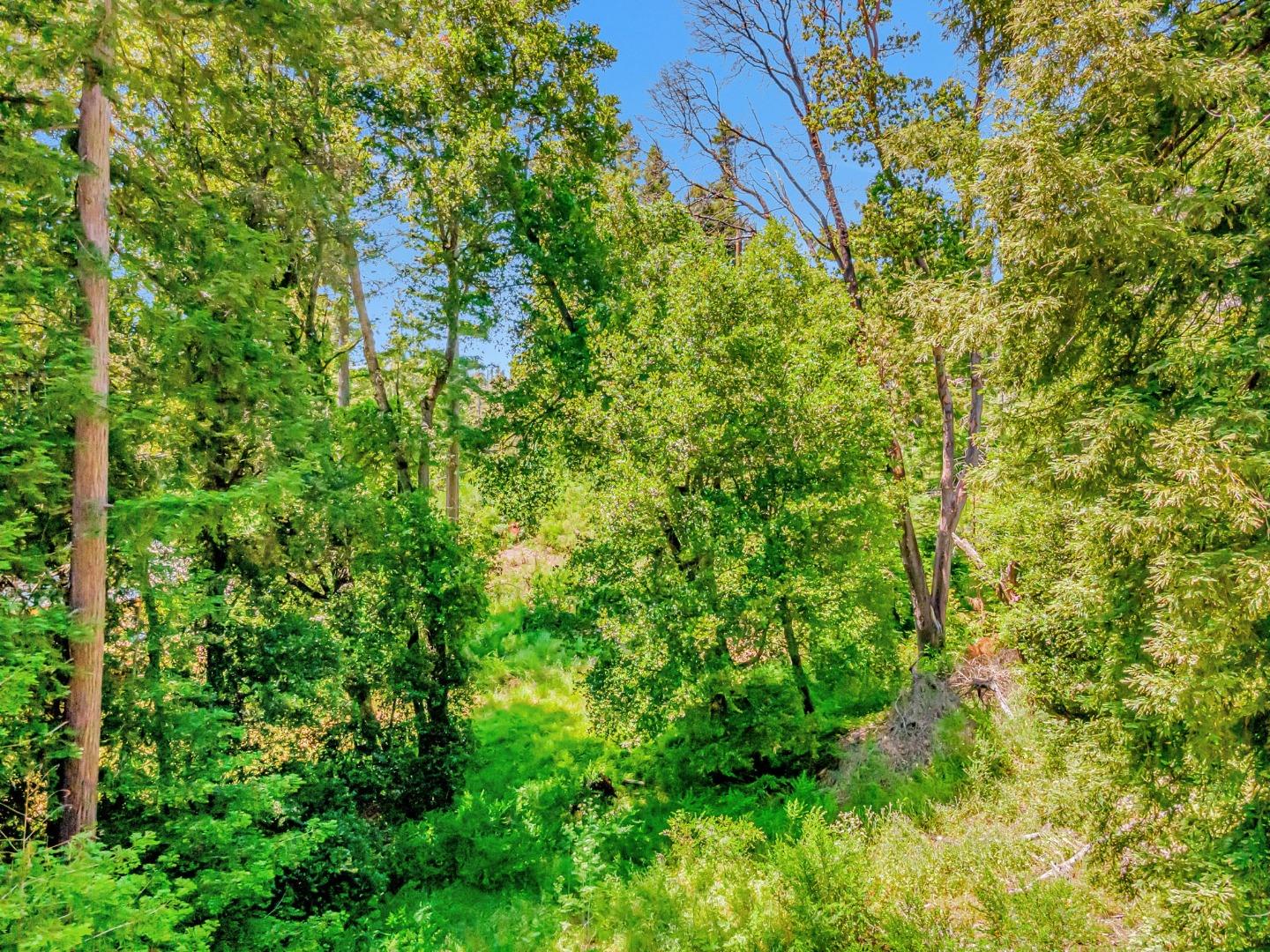 Detail Gallery Image 13 of 34 For 0 Memory, Boulder Creek,  CA 95006 - – Beds | – Baths