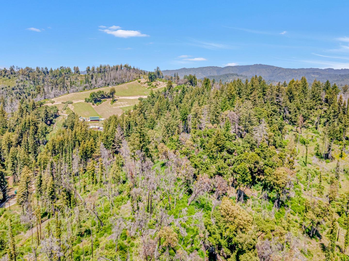 Detail Gallery Image 26 of 34 For 0 Memory, Boulder Creek,  CA 95006 - – Beds | – Baths