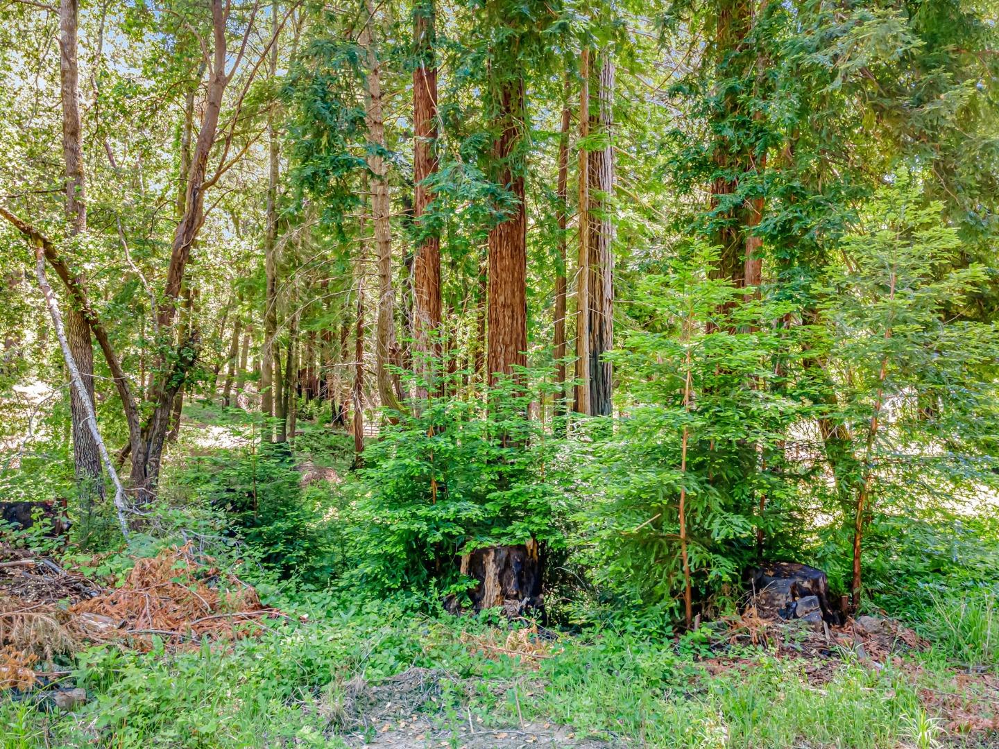 Detail Gallery Image 33 of 34 For 0 Memory, Boulder Creek,  CA 95006 - – Beds | – Baths