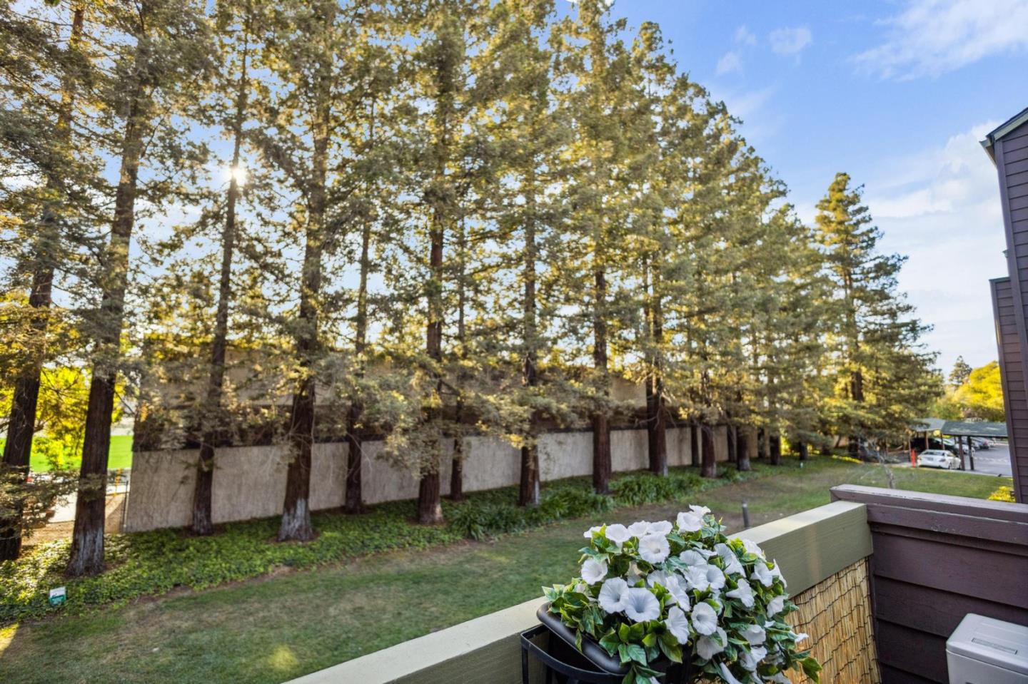Detail Gallery Image 11 of 42 For 1145 Yarwood Ct, San Jose,  CA 95128 - 1 Beds | 1 Baths