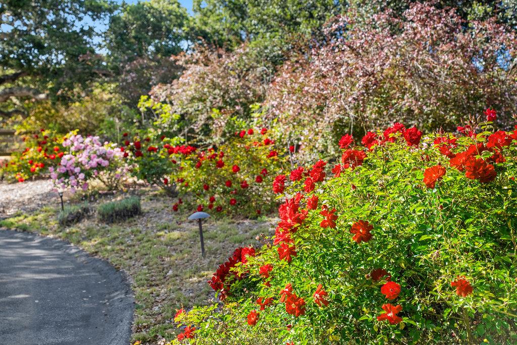 Detail Gallery Image 53 of 58 For 19250 Reavis Way, Salinas,  CA 93907 - 4 Beds | 3/1 Baths