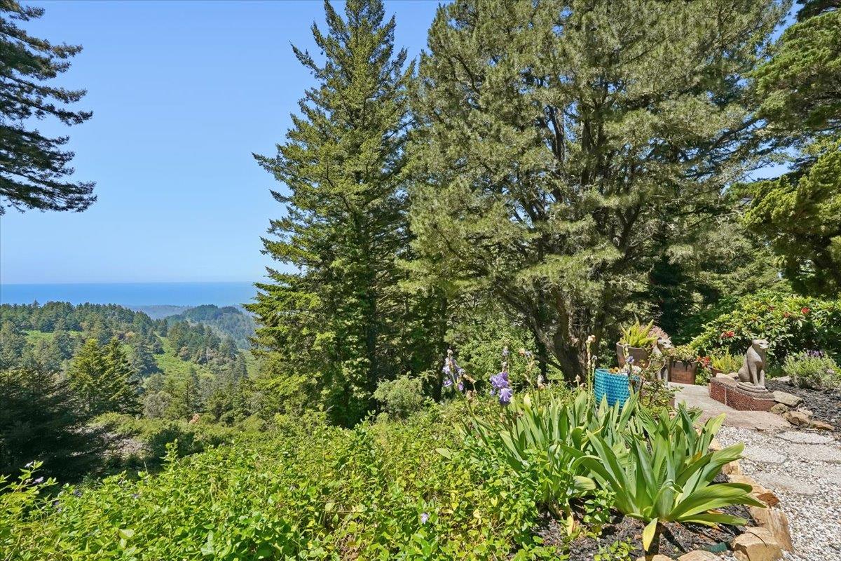 Detail Gallery Image 41 of 46 For 12960 Skyline Blvd, Woodside,  CA 94062 - 3 Beds | 2 Baths