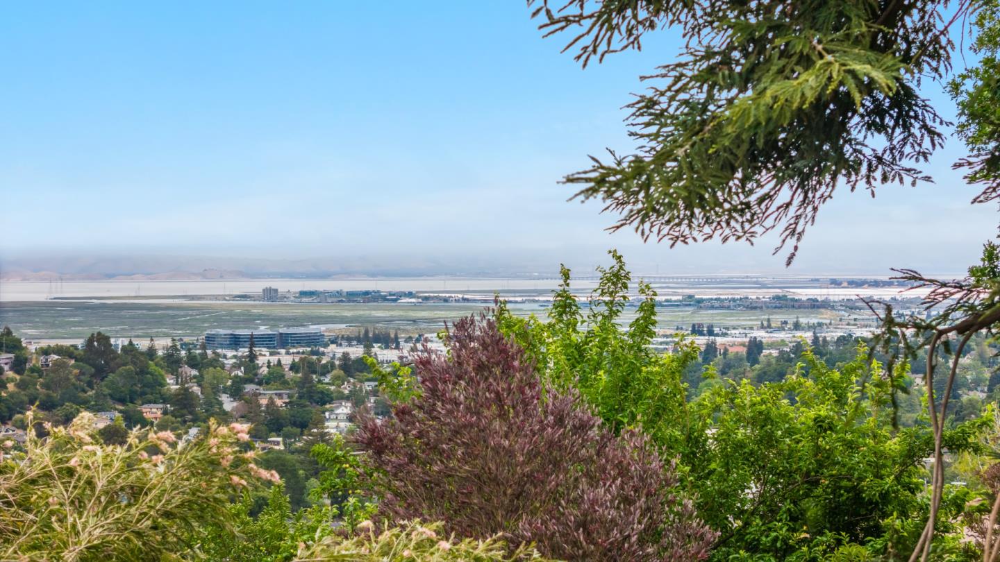 Detail Gallery Image 5 of 47 For 24 Chilton Ave, San Carlos,  CA 94070 - 4 Beds | 2 Baths