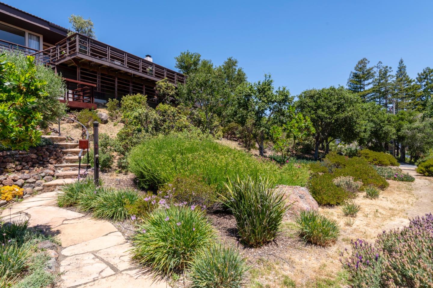 Detail Gallery Image 61 of 81 For 165 Golden Oak Dr, Portola Valley,  CA 94028 - 3 Beds | 2/1 Baths
