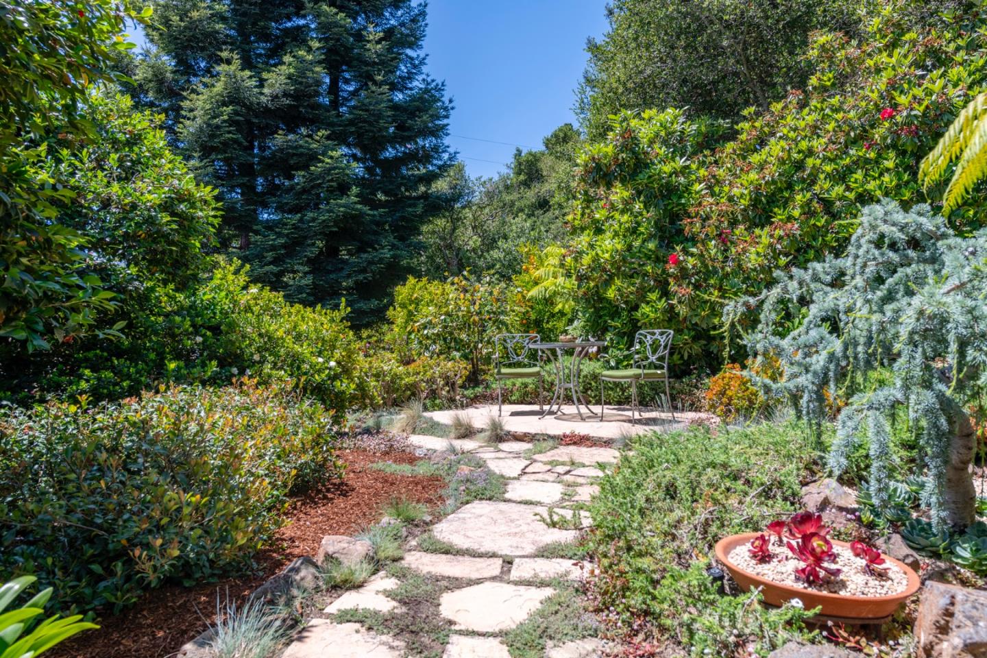 Detail Gallery Image 68 of 81 For 165 Golden Oak Dr, Portola Valley,  CA 94028 - 3 Beds | 2/1 Baths