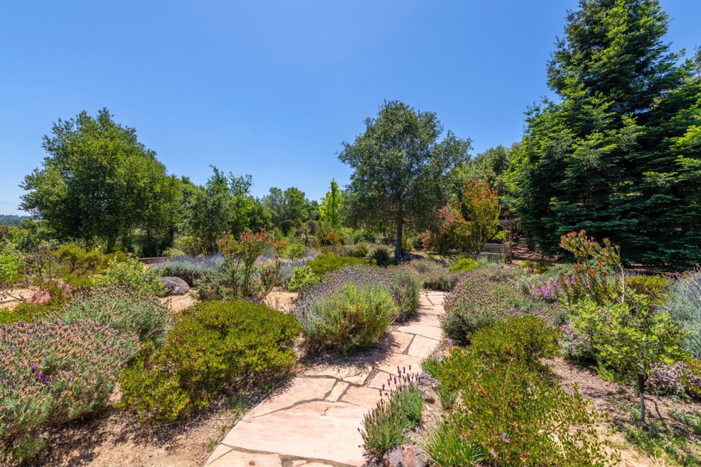 Detail Gallery Image 69 of 81 For 165 Golden Oak Dr, Portola Valley,  CA 94028 - 3 Beds | 2/1 Baths