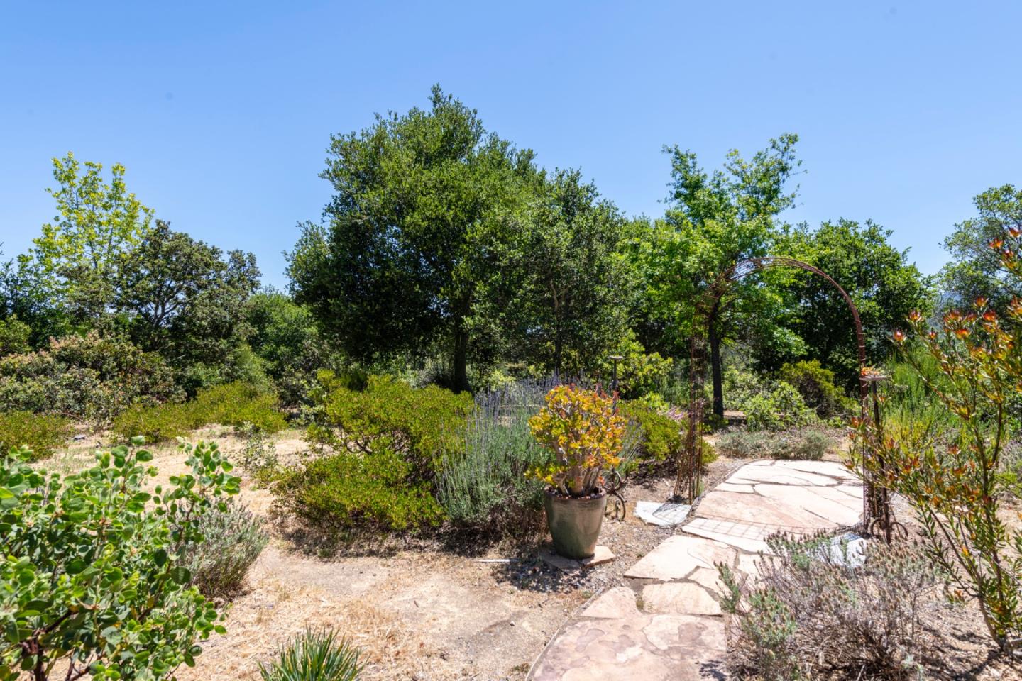 Detail Gallery Image 74 of 81 For 165 Golden Oak Dr, Portola Valley,  CA 94028 - 3 Beds | 2/1 Baths