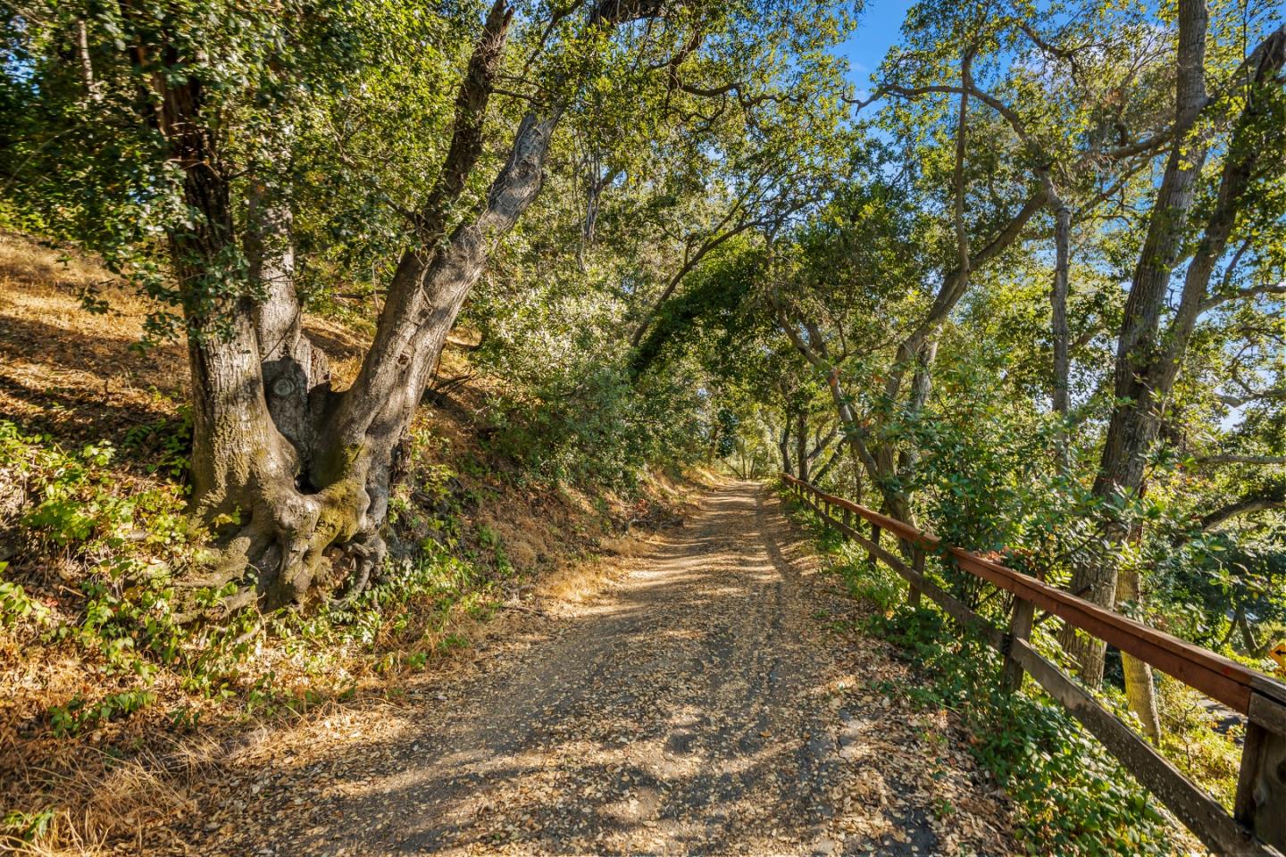 Detail Gallery Image 13 of 16 For 16497 S Kennedy Rd, Los Gatos,  CA 95030 - – Beds | – Baths