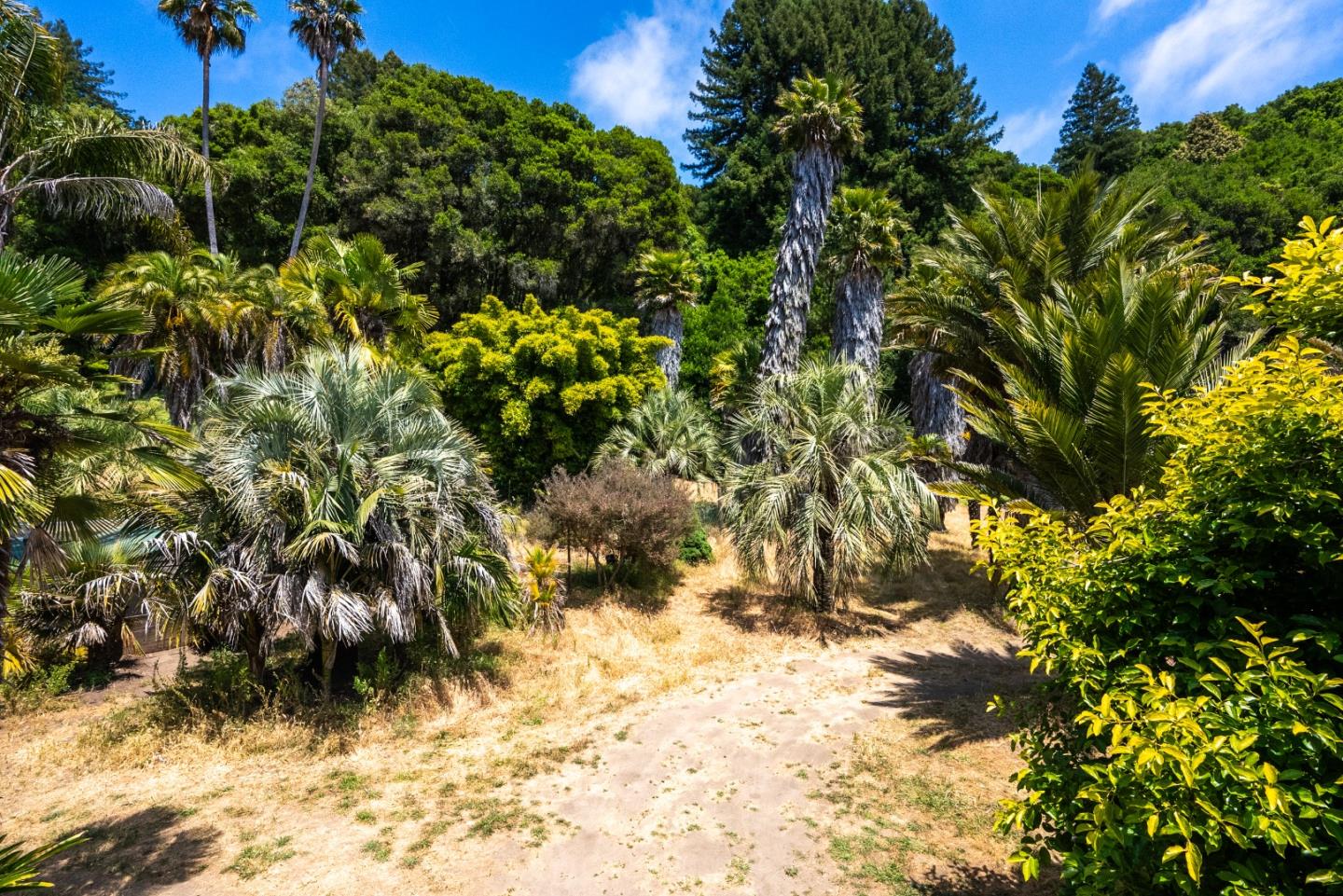 Detail Gallery Image 32 of 47 For 361 Red Hawk Ln, Aptos,  CA 95003 - 3 Beds | 2 Baths