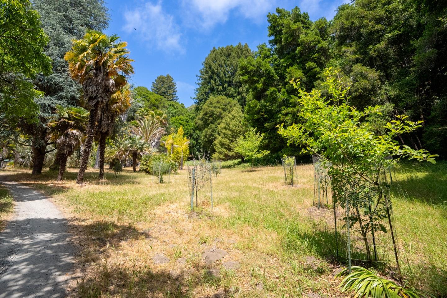 Detail Gallery Image 34 of 47 For 361 Red Hawk Ln, Aptos,  CA 95003 - 3 Beds | 2 Baths