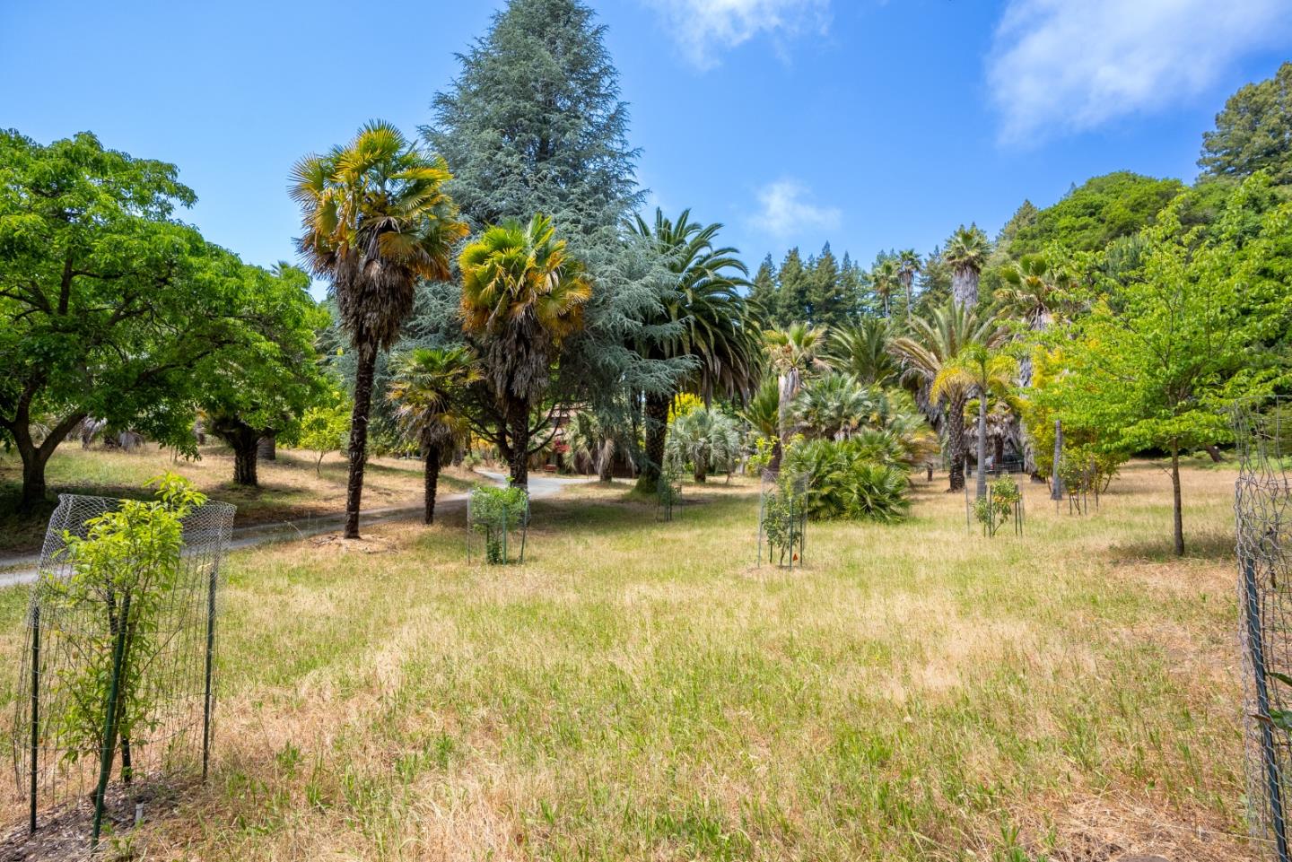 Detail Gallery Image 46 of 47 For 361 Red Hawk Ln, Aptos,  CA 95003 - 3 Beds | 2 Baths
