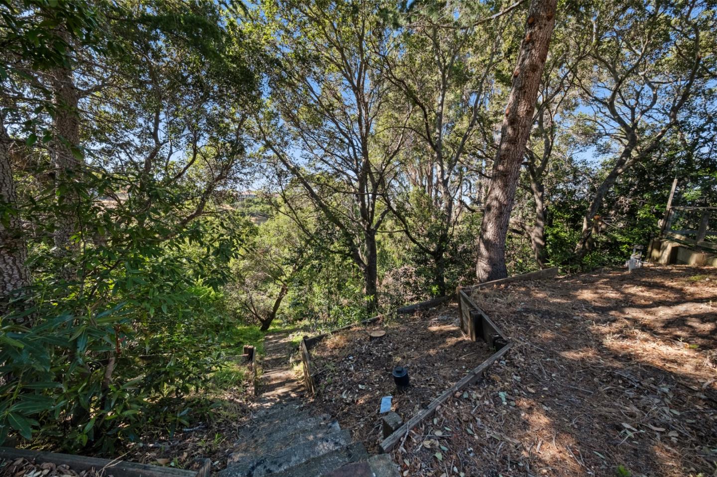 Detail Gallery Image 54 of 63 For 2900 Adeline Dr, Burlingame,  CA 94010 - 3 Beds | 2/1 Baths