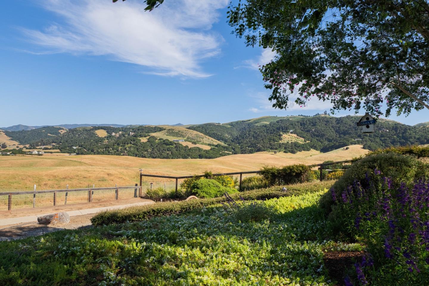 Detail Gallery Image 84 of 92 For 936 Calle Cruz, San Juan Bautista,  CA 95045 - 3 Beds | 2/1 Baths