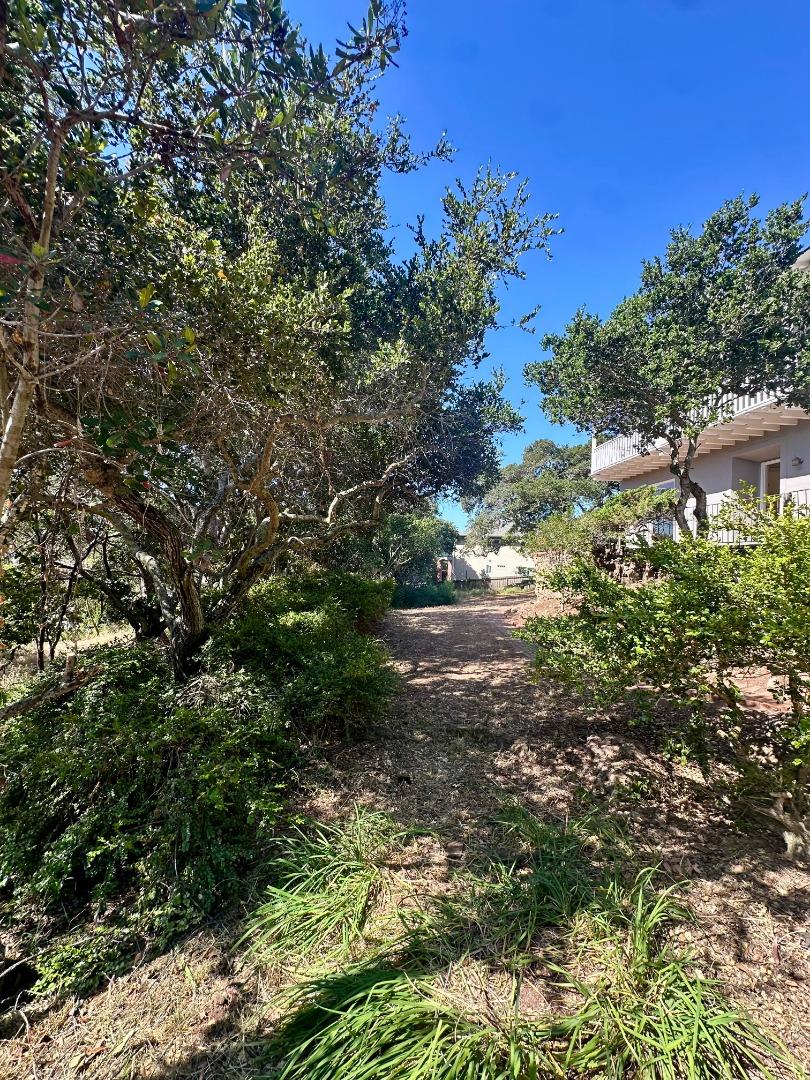 Detail Gallery Image 42 of 54 For 1920 Oak Knoll Dr, Belmont,  CA 94002 - 3 Beds | 2/1 Baths