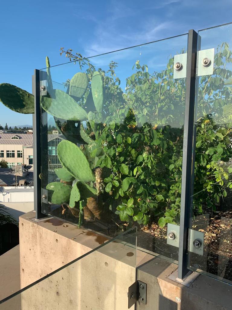 102 University Avenue UNIT 3a 3b 3c, Palo Alto, CA, 94301