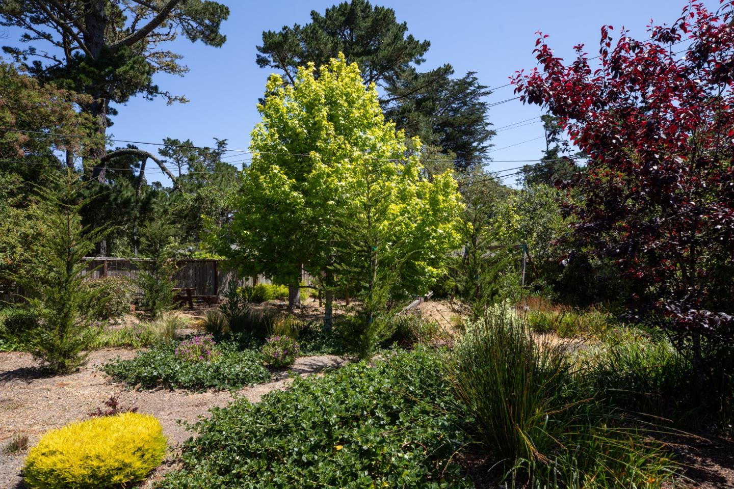 Detail Gallery Image 28 of 46 For 4117 Sunridge Rd, Pebble Beach,  CA 93953 - 4 Beds | 3 Baths