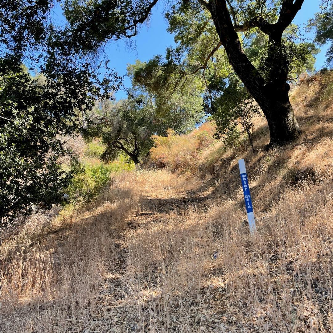 Detail Gallery Image 11 of 14 For 15580 Armsby Ln, Morgan Hill,  CA 95037 - – Beds | – Baths