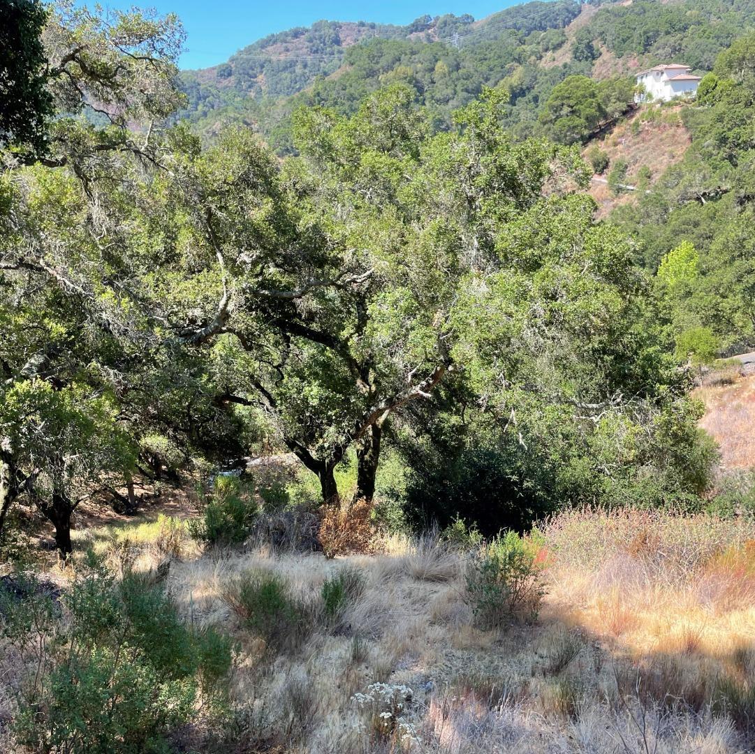 Detail Gallery Image 6 of 14 For 15580 Armsby Ln, Morgan Hill,  CA 95037 - – Beds | – Baths