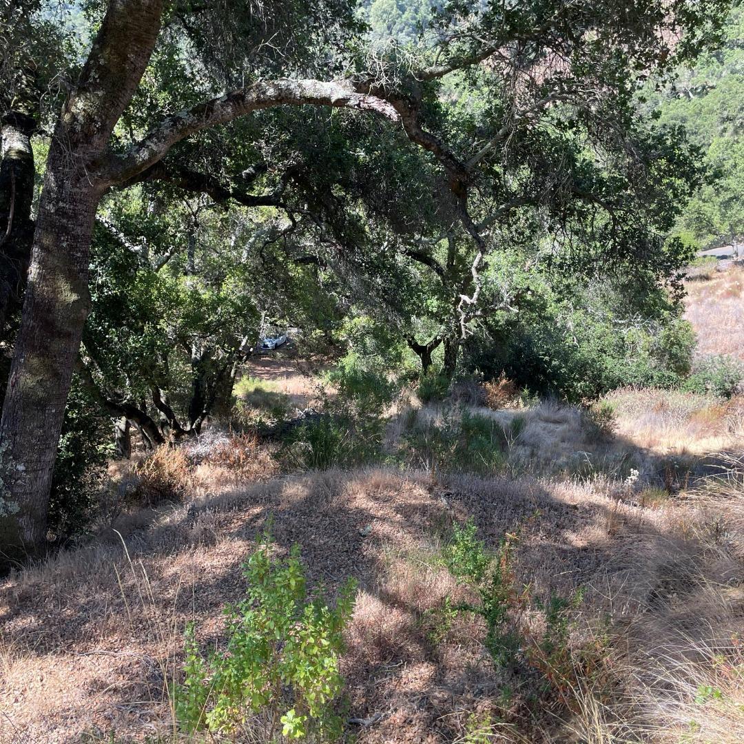 Detail Gallery Image 7 of 14 For 15580 Armsby Ln, Morgan Hill,  CA 95037 - – Beds | – Baths