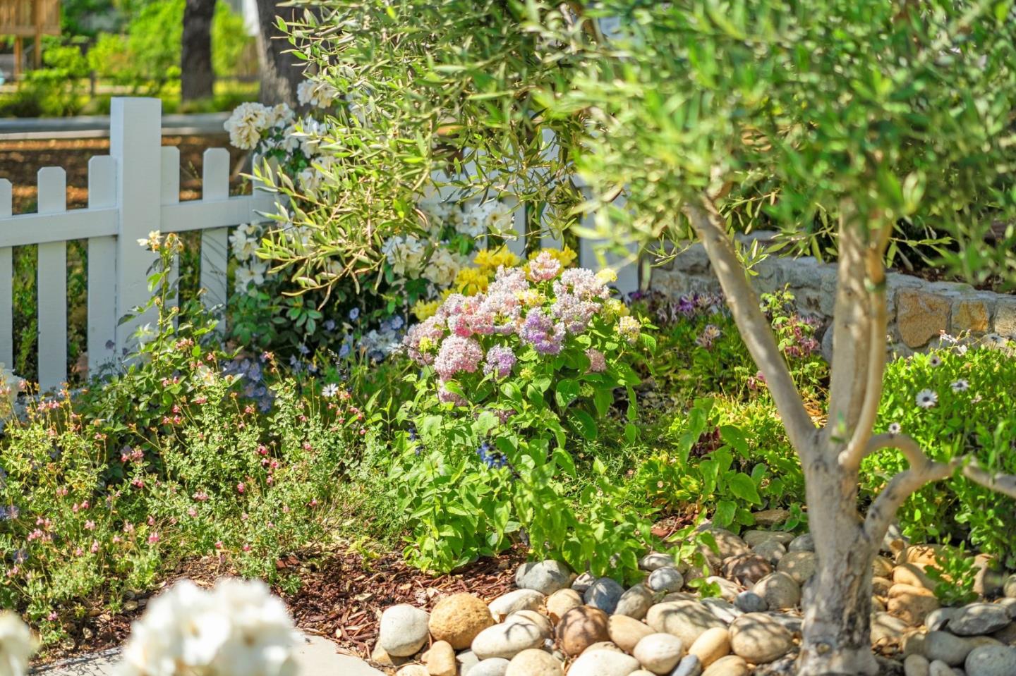 Detail Gallery Image 67 of 74 For 16157 E Mozart Ave, Los Gatos,  CA 95032 - 4 Beds | 3/1 Baths