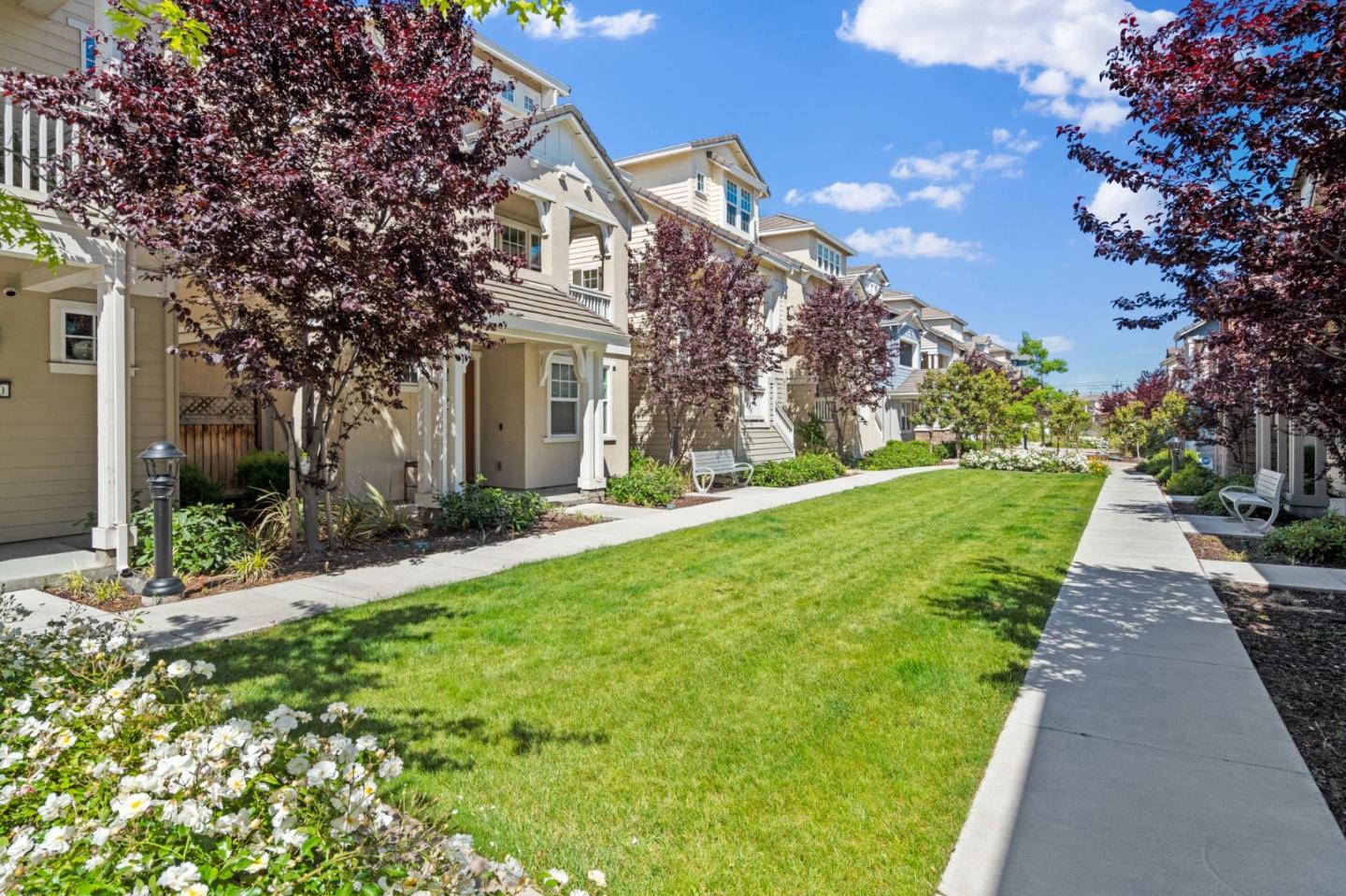Detail Gallery Image 33 of 41 For 3406 Pyramid Way, Mountain View,  CA 94043 - 3 Beds | 3/1 Baths