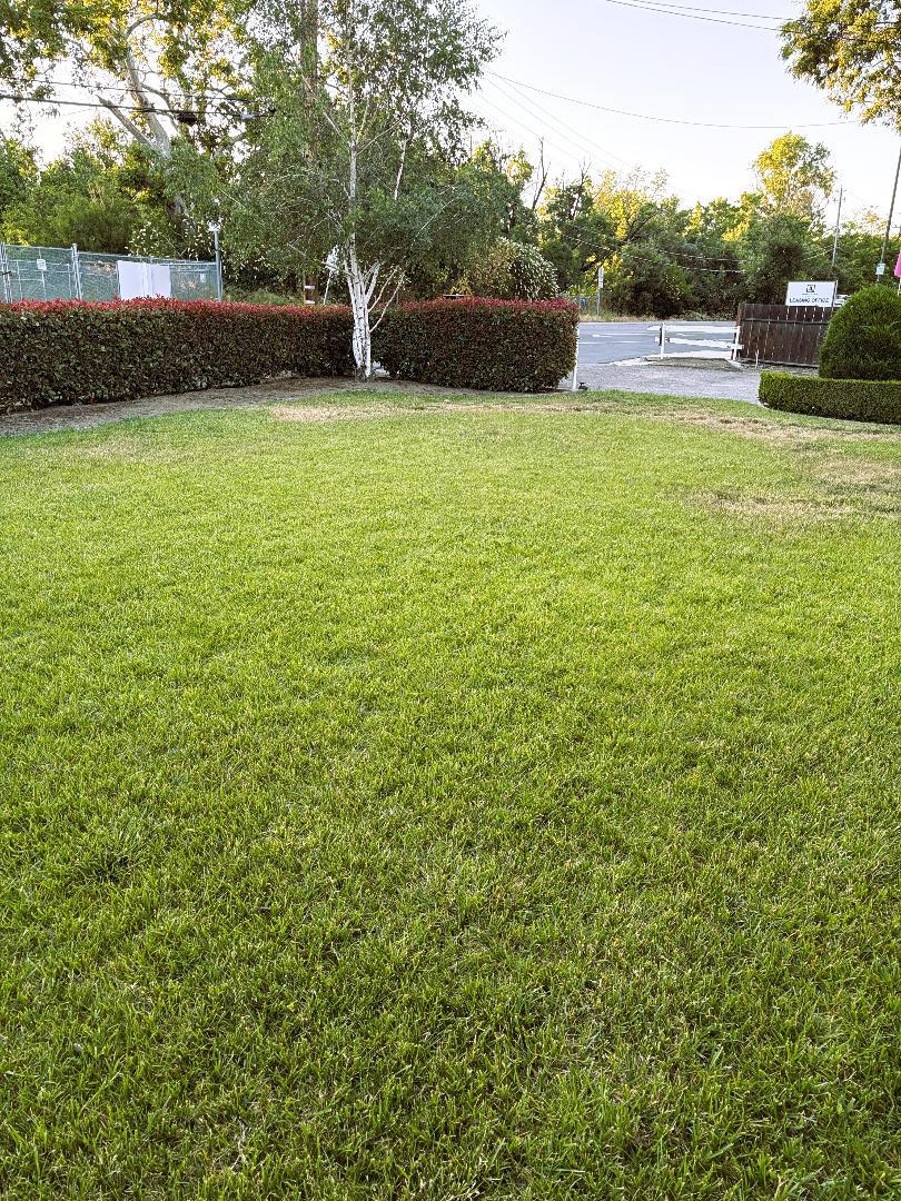 Detail Gallery Image 14 of 27 For 1966 Almaden Rd, San Jose,  CA 95125 - 3 Beds | 1/1 Baths