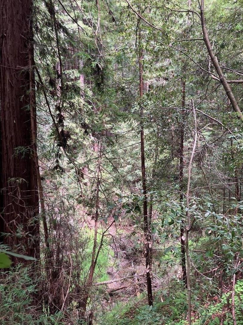 Detail Gallery Image 19 of 20 For 7000 Soquel San Jose Rd, Los Gatos,  CA 95033 - – Beds | – Baths
