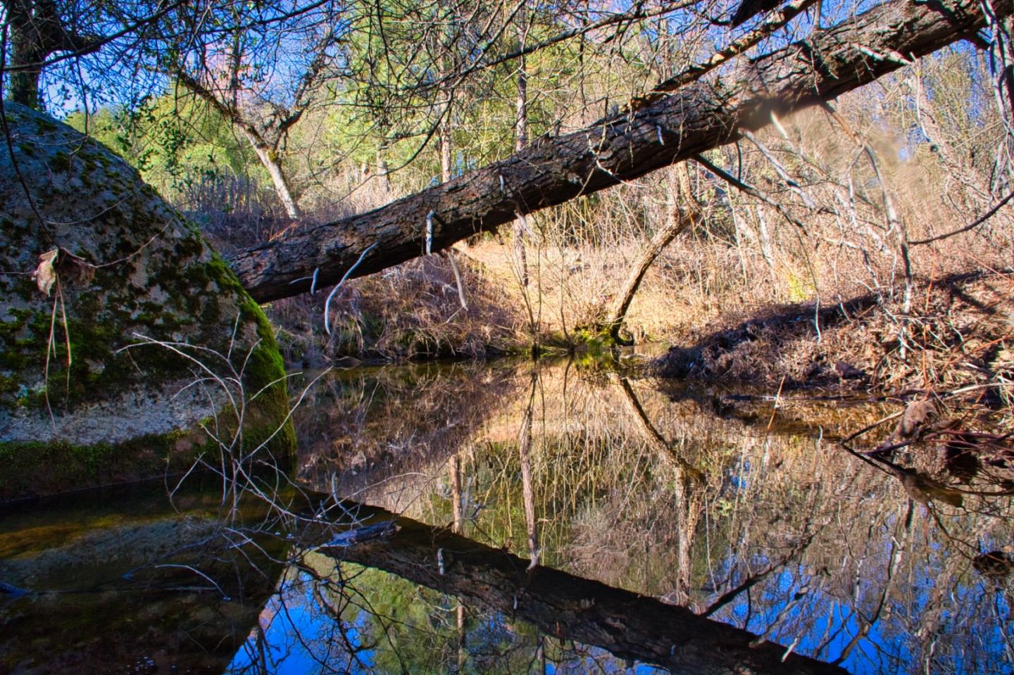 Detail Gallery Image 29 of 33 For 4540 Usona Rd, Mariposa,  CA 95338 - 3 Beds | 2/1 Baths