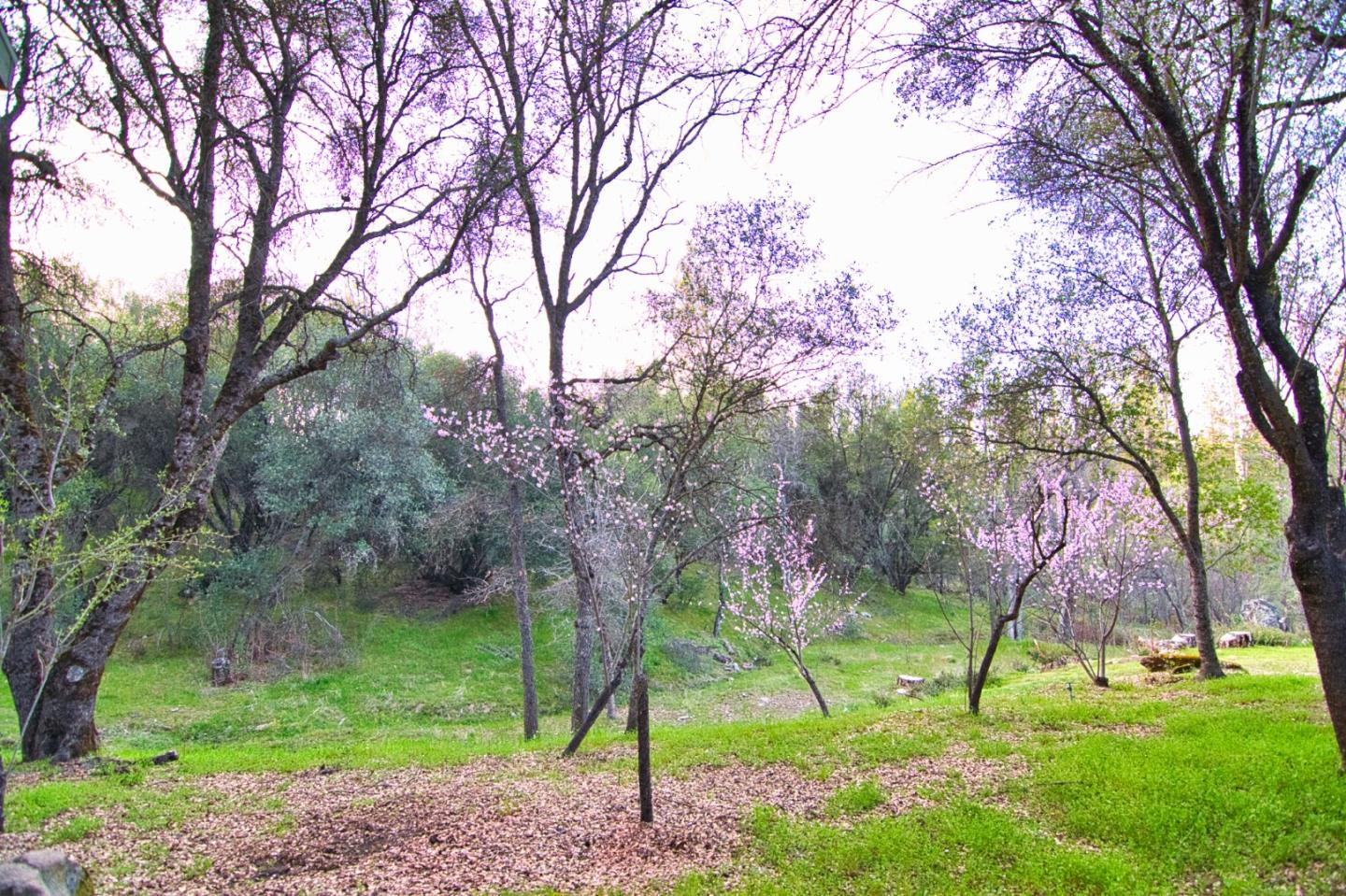 Detail Gallery Image 33 of 33 For 4540 Usona Rd, Mariposa,  CA 95338 - 3 Beds | 2/1 Baths