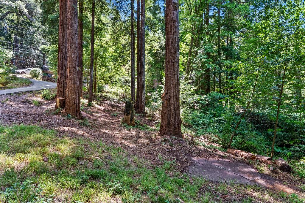 Detail Gallery Image 35 of 44 For 1116 Lakeside Dr, Felton,  CA 95018 - 3 Beds | 2 Baths