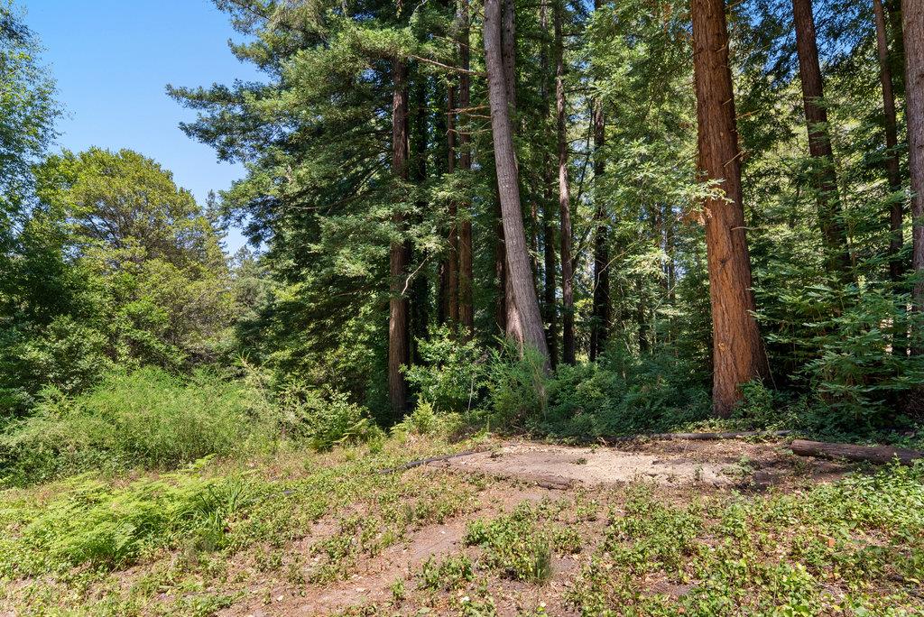 Detail Gallery Image 36 of 44 For 1116 Lakeside Dr, Felton,  CA 95018 - 3 Beds | 2 Baths