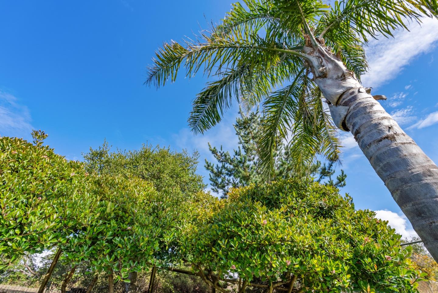 Detail Gallery Image 56 of 58 For 485 Canon Del Sol Dr, Watsonville,  CA 95076 - 3 Beds | 2/1 Baths