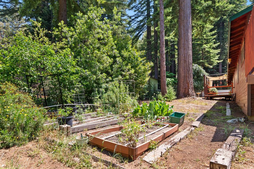 Detail Gallery Image 21 of 35 For 252 Nichols Dr, Santa Cruz,  CA 95060 - 3 Beds | 2 Baths