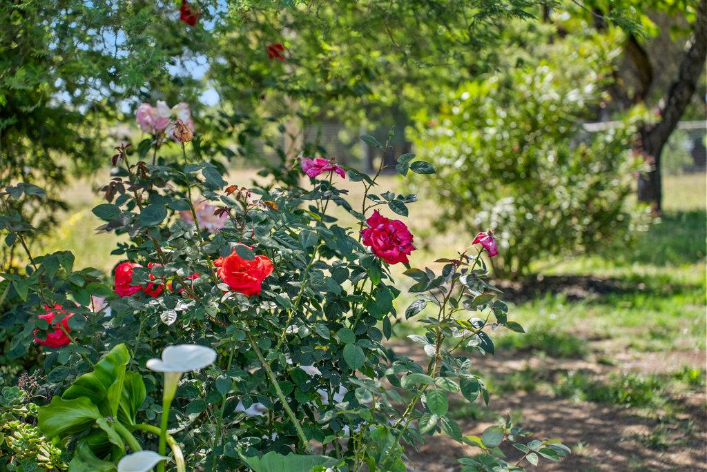 Detail Gallery Image 29 of 44 For 261 Wheelock Rd, Watsonville,  CA 95076 - 2 Beds | 2 Baths