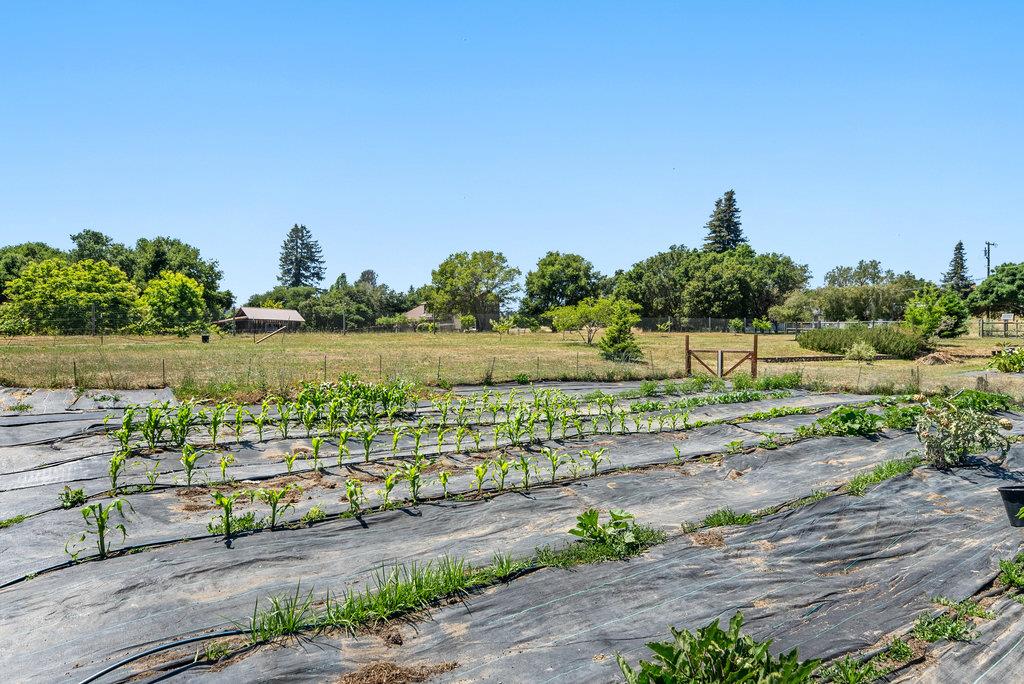 Detail Gallery Image 31 of 44 For 261 Wheelock Rd, Watsonville,  CA 95076 - 2 Beds | 2 Baths