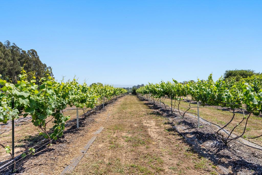 Detail Gallery Image 32 of 44 For 261 Wheelock Rd, Watsonville,  CA 95076 - 2 Beds | 2 Baths