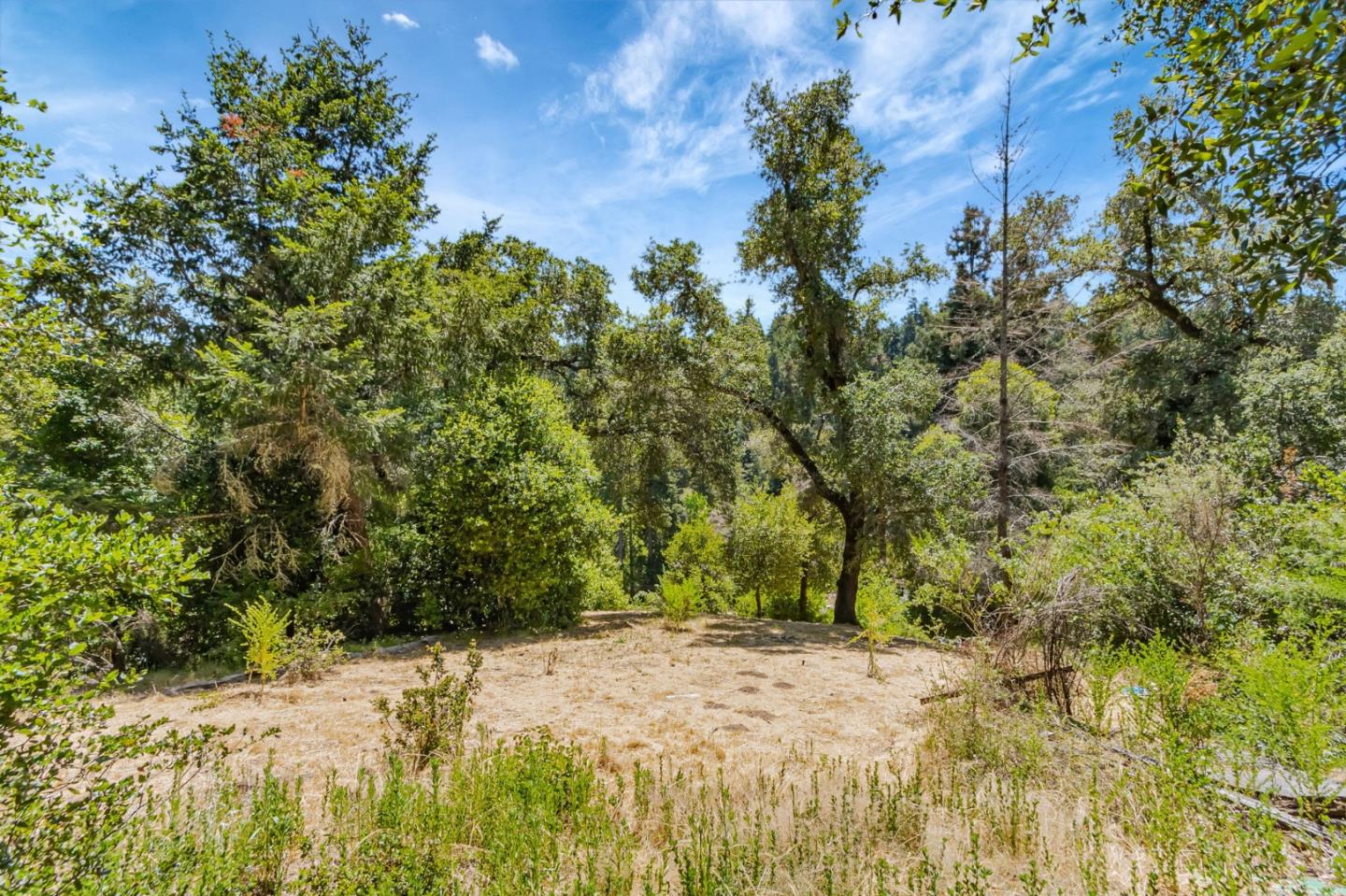 Detail Gallery Image 44 of 45 For 13805 Bear Creek Rd, Boulder Creek,  CA 95006 - 1 Beds | 1 Baths