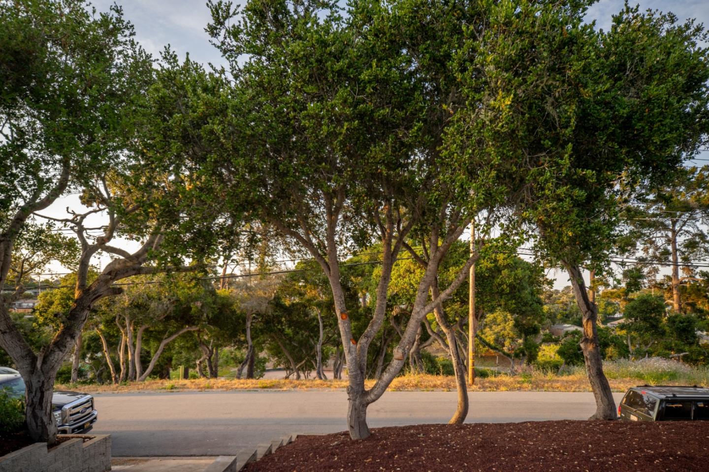 Detail Gallery Image 12 of 13 For 1017 via Verde, Del Rey Oaks,  CA 93940 - 3 Beds | 1/1 Baths