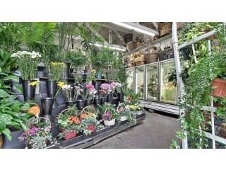 Detail Gallery Image 20 of 23 For 3876 El Camino Real #3876 - 3878,  Palo Alto,  CA 94306 - – Beds | – Baths